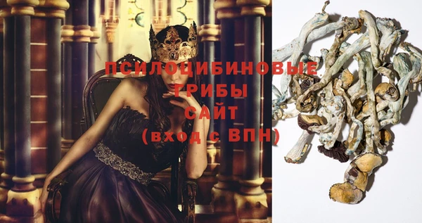 спиды Сатка