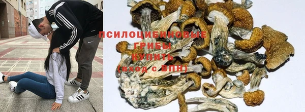 гидропоника Баксан