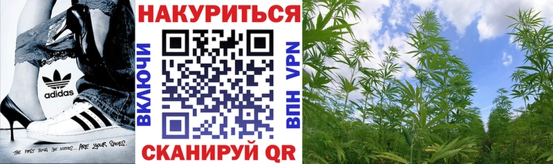 Бошки Шишки планчик  купить наркотики сайты  Зерноград 